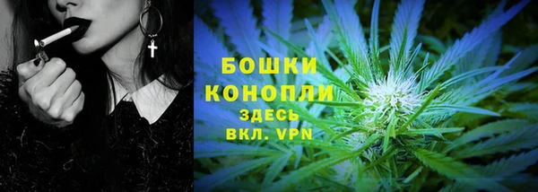 спиды Богданович