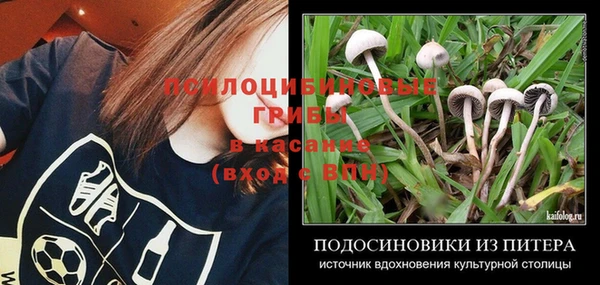 мяу мяу мука Белокуриха