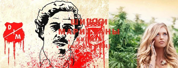 спиды Богданович