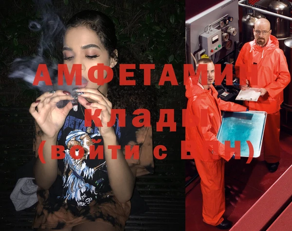 спиды Богданович